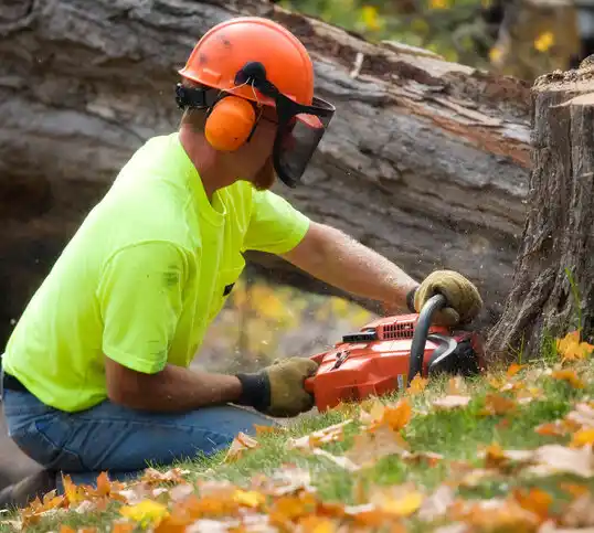 tree services United States